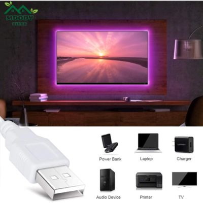 Dây Đèn Led 5050 RGB Thay Đổi Màu Sắc Kèm Điều Khiển bluetooth Tiện - Ảnh 6