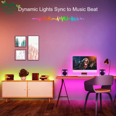Dây Đèn Led 5050 RGB Thay Đổi Màu Sắc Kèm Điều Khiển bluetooth Tiện - Ảnh 3